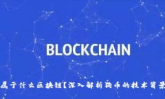 : 狗币属于什么区块链？深