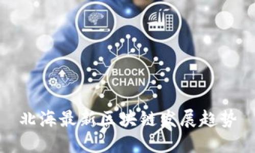 北海最新区块链发展趋势