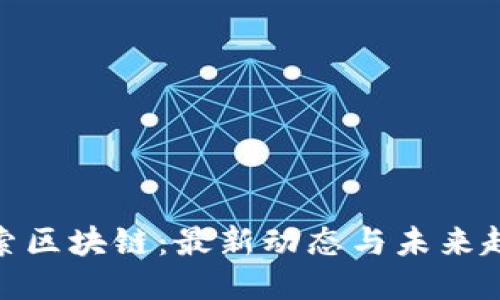 探索区块链：最新动态与未来趋势