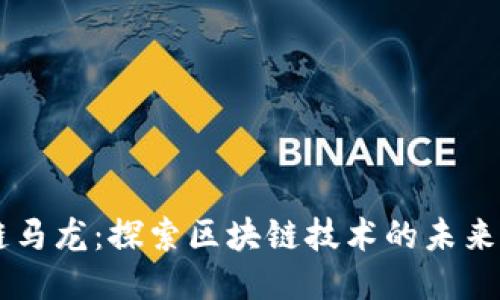 区块链马龙：探索区块链技术的未来与应用