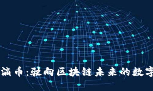 滴滴滴币：驶向区块链未来的数字货币