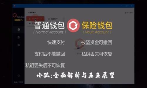  小狐：全面解析与未来展望